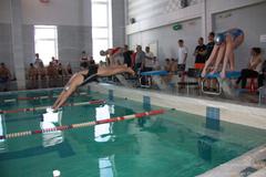 Чемпионат Челябинской области по плаванию 2013