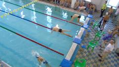 Чемпионат и первенство Челябинской области по плаванию 2017