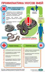 Как защитить себя от укусов клещей и змей