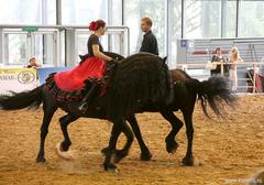 В Москве прошла конная выставка ЭКВИФОРУМ-2011
