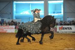 Парад коней! В начале мая в Санкт-Петербурге пройдет XIV международная конная выставка «ИППОСФЕРА»