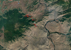 В Туве подготовлен план мероприятий по ликвидации очагов непарного шелкопряда В Туве подготовлен план мероприятий по ликвидации очагов непарного шелкопряда