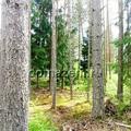 Фотообзор внутрянки