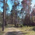 Фотообзор наружки