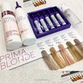 Краска для волос ESTEL PRIMA BLONDE (ЭСТЕЛЬ ПРИМА БЛОНД) - пенный краситель для блондинок! ESTEL PRIMA BLONDE (ЭСТЕЛЬ ПРИМА БЛОНД) - абсолютная инновация в окрашивании светлых волос!