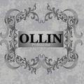 OLLIN Professional созвучно английскому all-in (&laquo;включающий всё&raquo;) и не