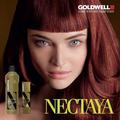 СНЯТА С ПРОИЗВОДСТВА!!! Goldwell NECTAYA. Безаммиачный органический краситель с аргановым маслом, поднимает до 3х уровней, на 100% закрашивает седину.