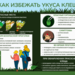 Безопасность
