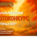 Новости
