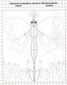 симметричный рисунок Бабочка