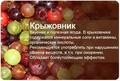 Немного о вкусностях, полезностях и правильном питании