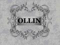 Выберите нужный раздел бренда OLLIN