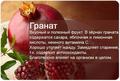 Фруктовая энциклопедия.
