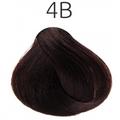 Goldwell Topchic 4B - коричневый Гавана