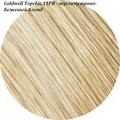 Goldwell Topchic 11PB - перламутрово-бежевый блонд