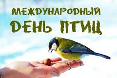 #ДеньПтиц