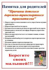 профилактика случаев дорожно-транспортного травматизма