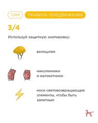 Самокаты, скейтборды, ролики… 