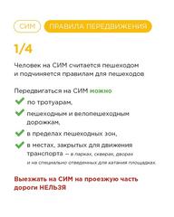 Самокаты, скейтборды, ролики… 