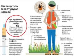 памятка «Как защитить себя от укусов клещей»