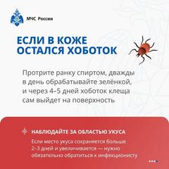 ЕСЛИ ВАС УКУСИЛ КЛЕЩ