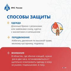 ЕСЛИ ВАС УКУСИЛ КЛЕЩ