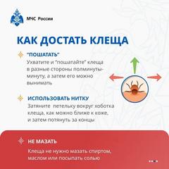 ЕСЛИ ВАС УКУСИЛ КЛЕЩ