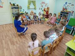Новости