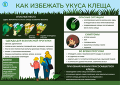 ОСТОРОЖНО,КЛЕЩИ!
