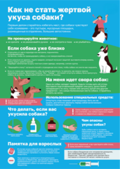 Памятка по предупреждению нападения бродячих животных на детей