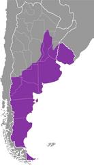 Español rioplatense