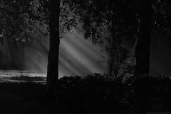 PHOTOGRAPHY_ANASTASIA ALEXANDROVA