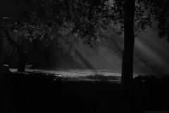 PHOTOGRAPHY_ANASTASIA ALEXANDROVA