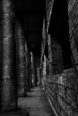 PHOTOGRAPHY_ANASTASIA ALEXANDROVA