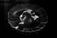PHOTOGRAPHY_ANASTASIA ALEXANDROVA