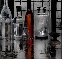 PHOTOGRAPHY_ANASTASIA ALEXANDROVA
