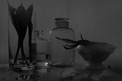 PHOTOGRAPHY_ANASTASIA ALEXANDROVA
