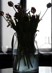 PHOTOGRAPHY_ANASTASIA ALEXANDROVA