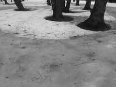 PHOTOGRAPHY_ANASTASIA ALEXANDROVA