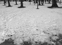 PHOTOGRAPHY_ANASTASIA ALEXANDROVA