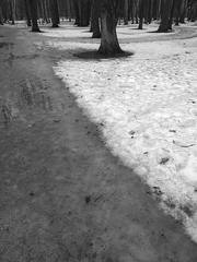 PHOTOGRAPHY_ANASTASIA ALEXANDROVA