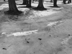 PHOTOGRAPHY_ANASTASIA ALEXANDROVA