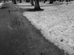 PHOTOGRAPHY_ANASTASIA ALEXANDROVA