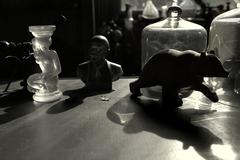 PHOTOGRAPHY_ANASTASIA ALEXANDROVA