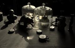 PHOTOGRAPHY_ANASTASIA ALEXANDROVA