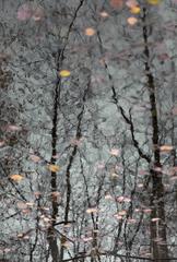 PHOTOGRAPHY_ANASTASIA ALEXANDROVA
