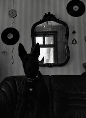 PHOTOGRAPHY_ANASTASIA ALEXANDROVA