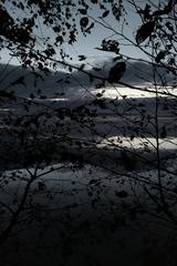 PHOTOGRAPHY_ANASTASIA ALEXANDROVA