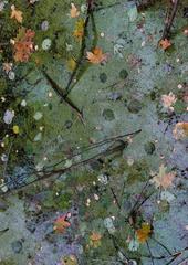 PHOTOGRAPHY_ANASTASIA ALEXANDROVA