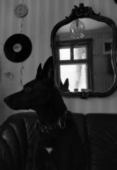 PHOTOGRAPHY_ANASTASIA ALEXANDROVA
